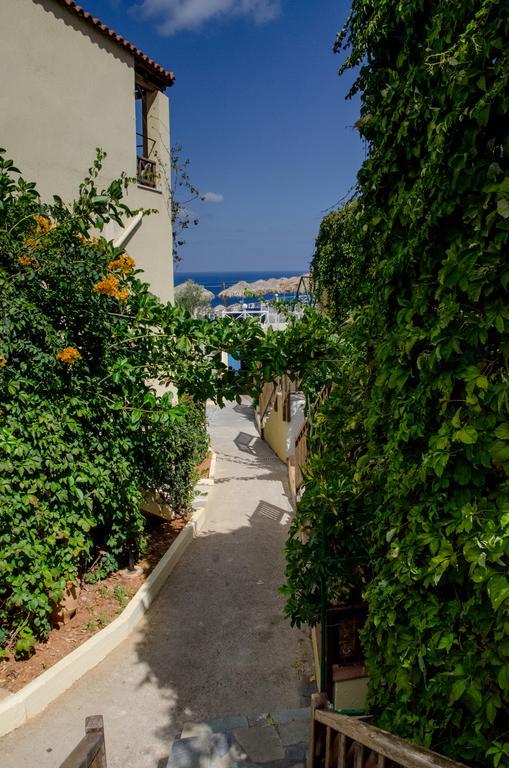 Sun Club Olympia Daire Hersonissos  Dış mekan fotoğraf
